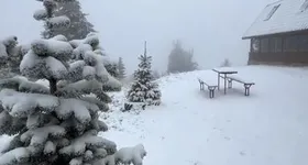 Galerie foto - poza 3