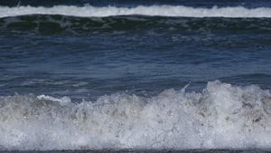 Fenomen bizar la Marea Neagră. Ce a apărut pe plaja din Mamaia, în toiul lunii martie 2024