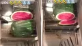 Un brașovean și-a feliat pepenele în aparatul pentru tăiat pâine. Imagini virale!
