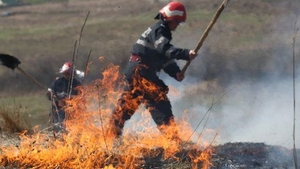Incendiu de vegetație uscată, întins pe trei hectare, în Prahova