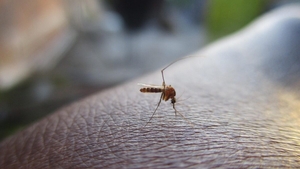Virusul care face din nou victime în România! 17 persoane s-au îmbolnăvit în ultima perioadă