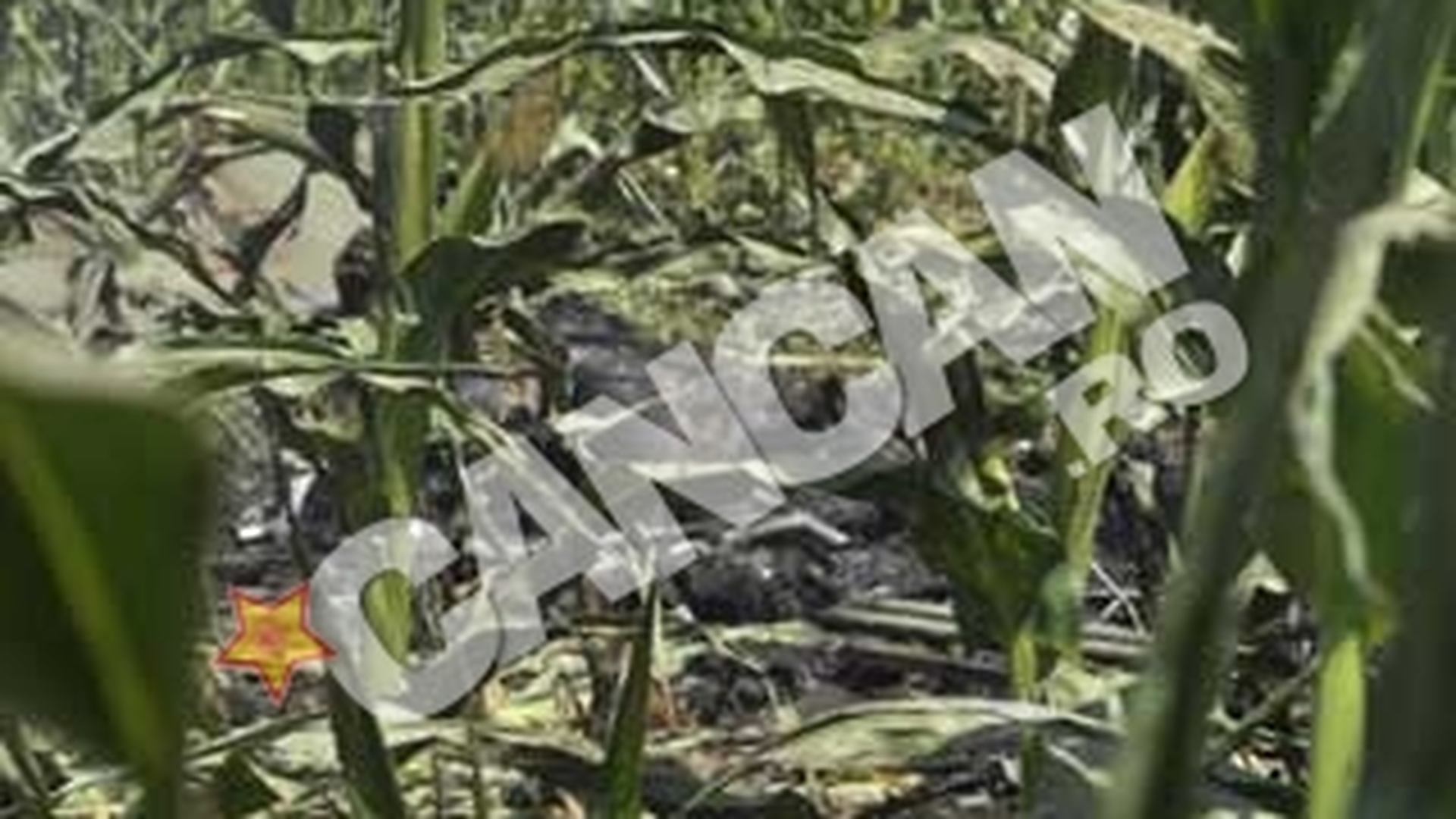 Fragmentele din epava elicopterului cazut, stranse din lanul de porumb, dupa o noapte de cautari