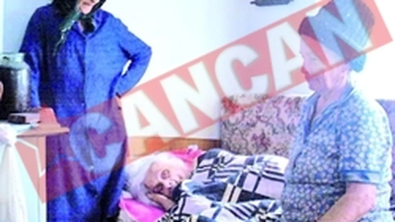 Au impreuna 260 de ani