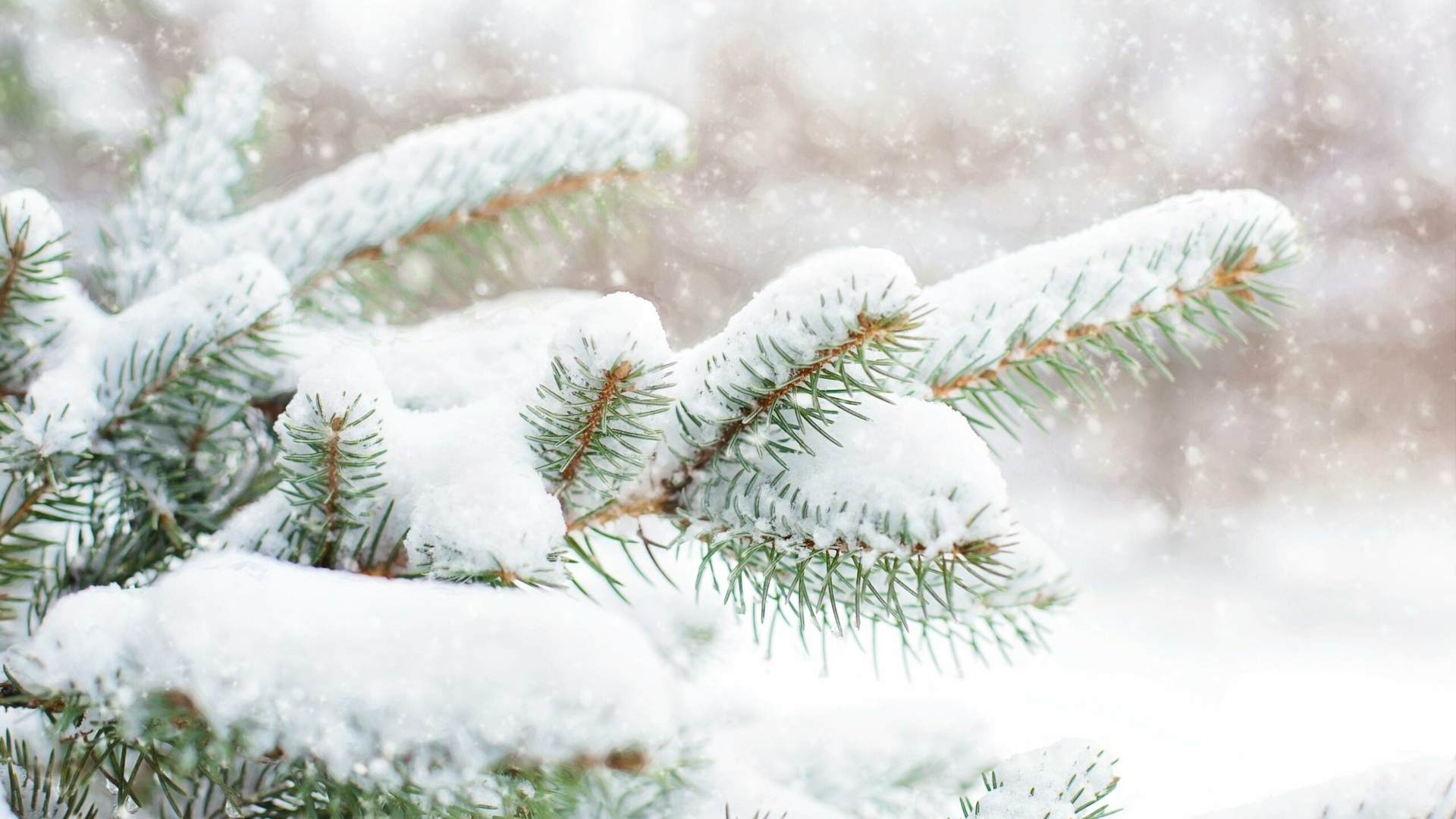 Prognoza meteo azi, 12 ianuarie 2026. Ninge în toată țara: România, sub semnul iernii adevărate și al gerului persistent