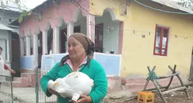 Galerie foto - poza 4