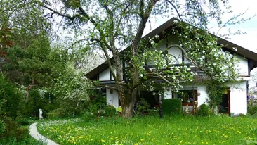 Locul din România unde poți să primești gratuit casă. Ce condiții trebuie să îndeplinești