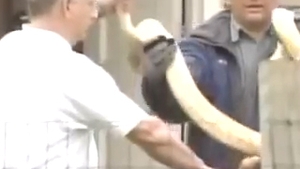 VIDEO Pitonul unei femei a omorat-o pe fiica de doi ani a acesteia! Pedeapsa ei: 35 de ani de inchisoare!