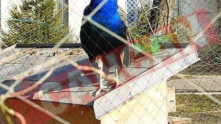 Politia de Frontiera si-a facut Gradina Zoologica