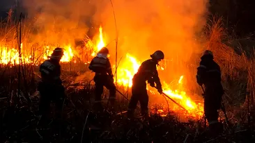 Incendiu puternic la Tulcea! Sunt mai multe focare pe o suprafață de 300 de hectare VIDEO
