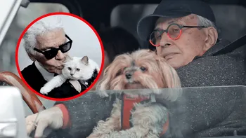 „Tatăl” Braiconf, cu lățosul în poale! După tentativa de răpire, „Lagerfeld de România” a înăsprit măsurile de securitate