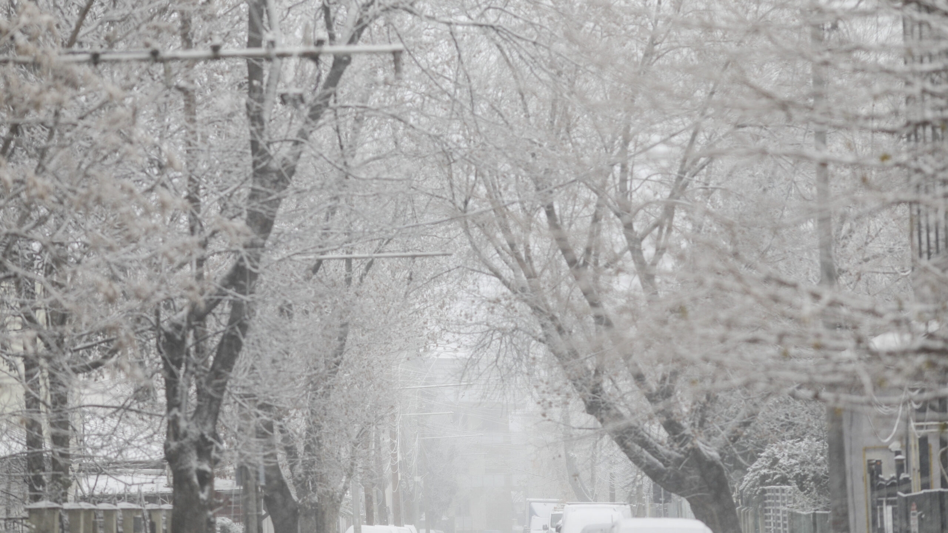 Ninge în România de Moș Nicolae, conform AccuWeather. Zonele în care va fi zăpadă ca în povești, pe 5-6 decembrie 2025