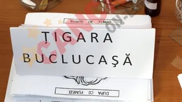 Elevii au lansat tigara buclucasa, lamaile-baterii si casa eco