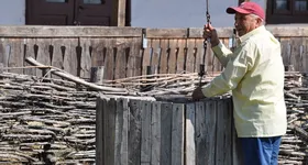 Galerie foto - poza 2