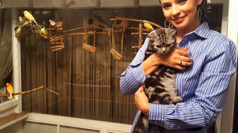 Andreea Marin, „lătrată şi muşcată” de iubitorii maidanezilor. Uite ce vedete îi iau partea şi cine o pune la zid