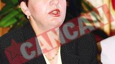 Democrata Sulfina Barbu, "mama" taxei auto