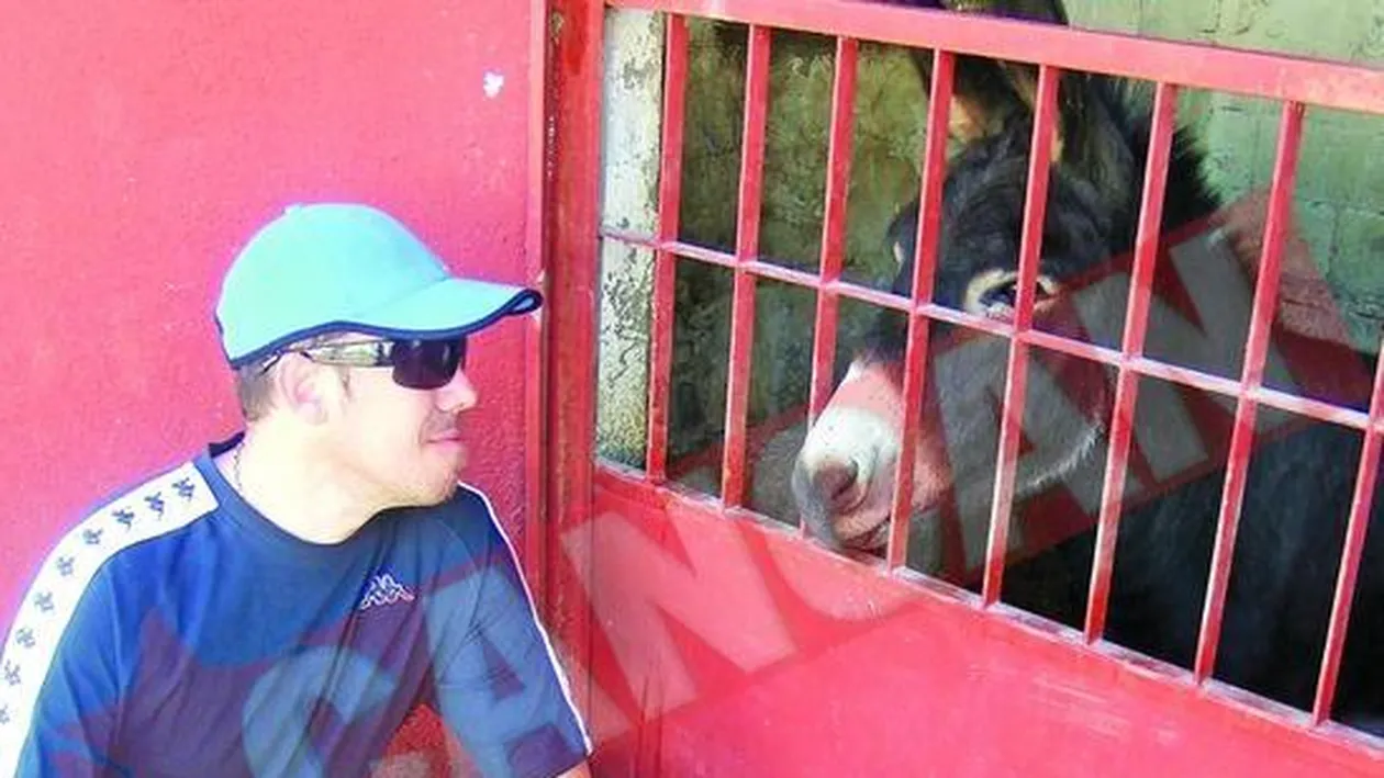 Presedintele si-a luat cal de 20.000 de euro din Spania