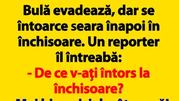 BANCUL ZILEI | Bulă evadează, dar se întoarce seara înapoi în închisoare