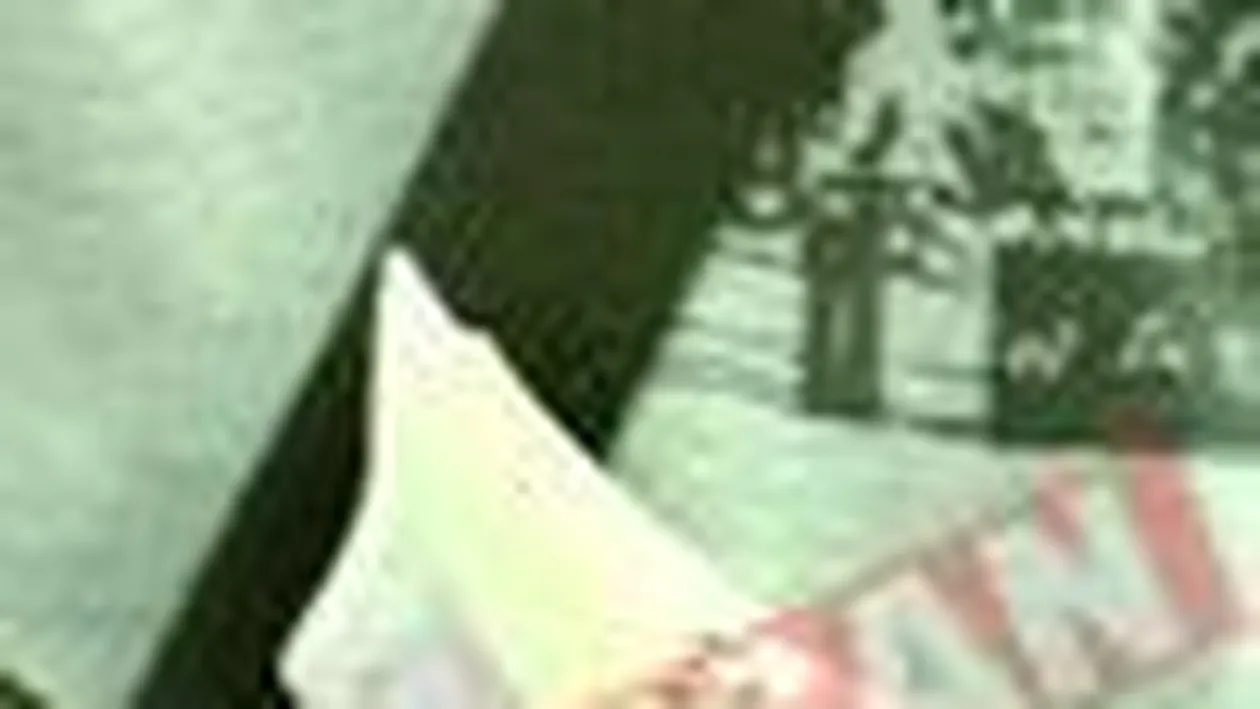 Zmarandescu umbla cu bancnote de 500 de euro in portofel