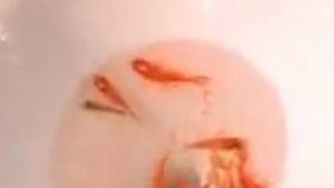 VIDEO Absolut ireal! Un tocilar se da smecher la o petrecere - Inghite peste 40 de pestisorii aurii dintr-o inghititura si la final ragaie - Singura dorinta pe care si-a pus-o a fost sa scape viu