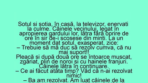BANC | Soțul și nevasta stau în casă, la televizor, enervați la culme de câinele vecinilor