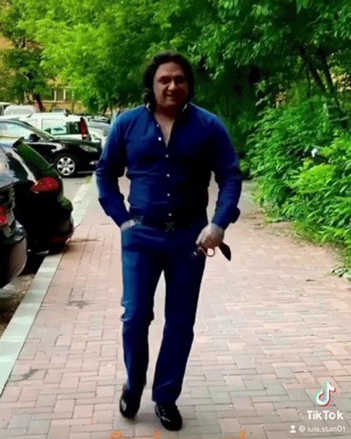 Luis Stan, „regele viralelor”, are mii de urmăritori pe rețelele sociale  / Sursă foto: TikTok