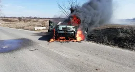 Galerie foto - poza 3