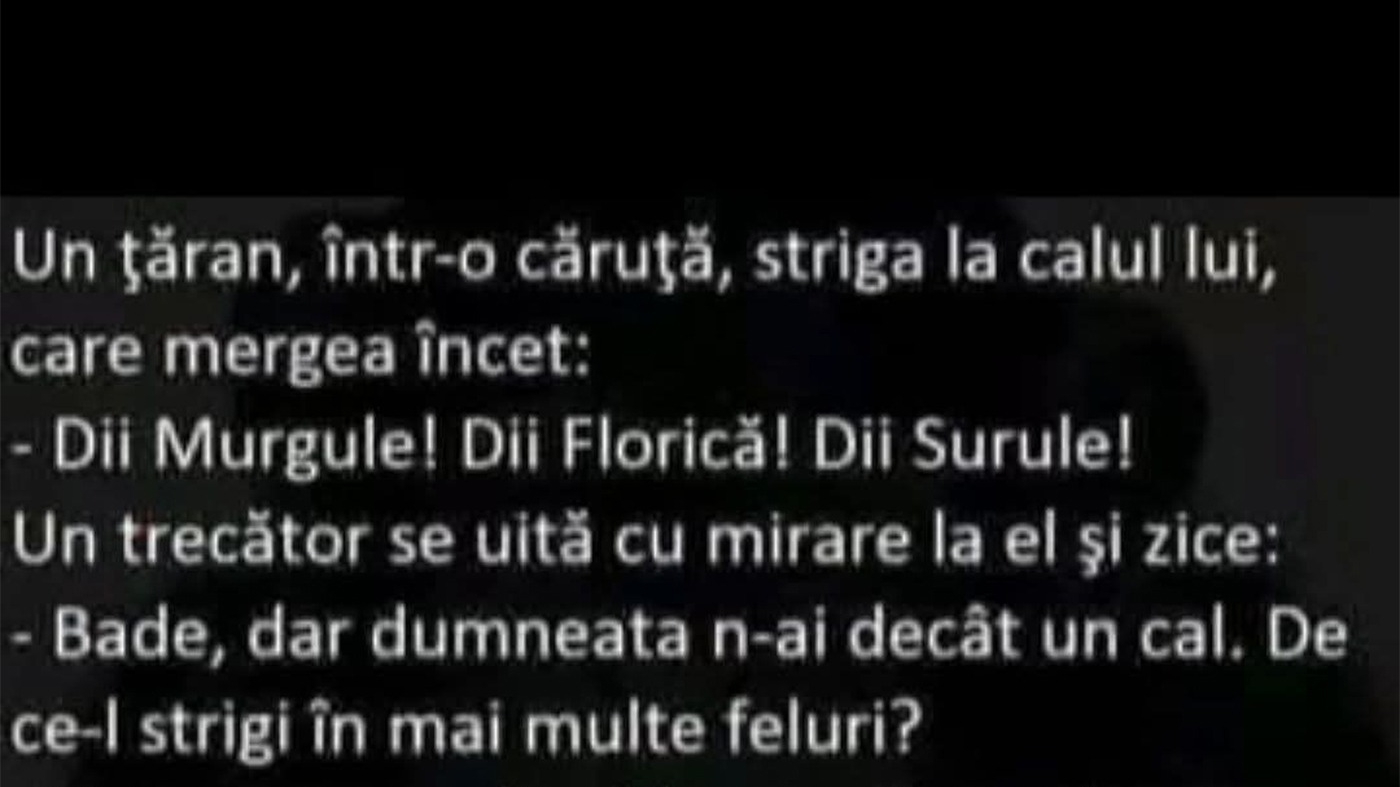 BANCUL ZILEI | "Diii, Murgule! Dii, Florică! Dii, Surule!"