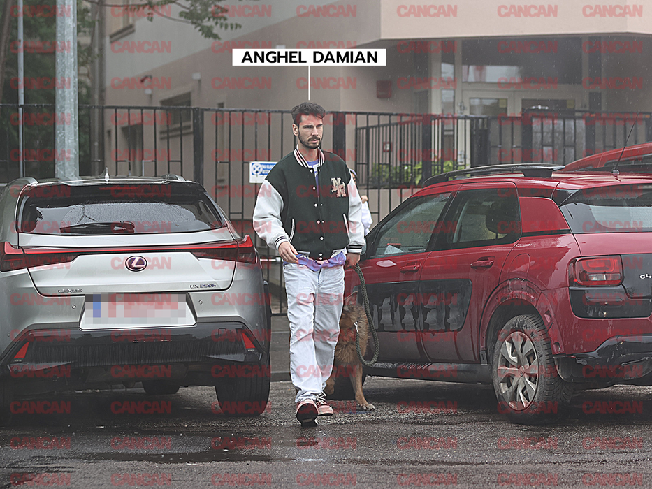 Anghel Damian a scos la plimbare câinele fostei iubite