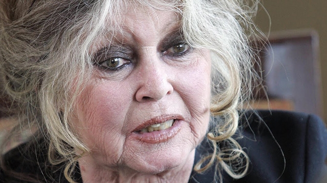 Brigitte Bardot denunţă demersurile pentru eutanasierea câinilor maidanezi din România