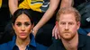 Lovitură pentru Meghan Markle și Prințul Harry. Filmul lor a fost întrecut la box office de o compilație cu pisici