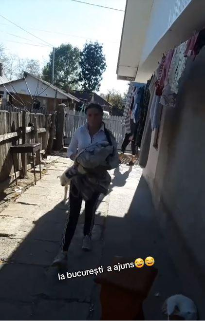 Vulpița s-a mutat la noul iubit /Foto: TikTok