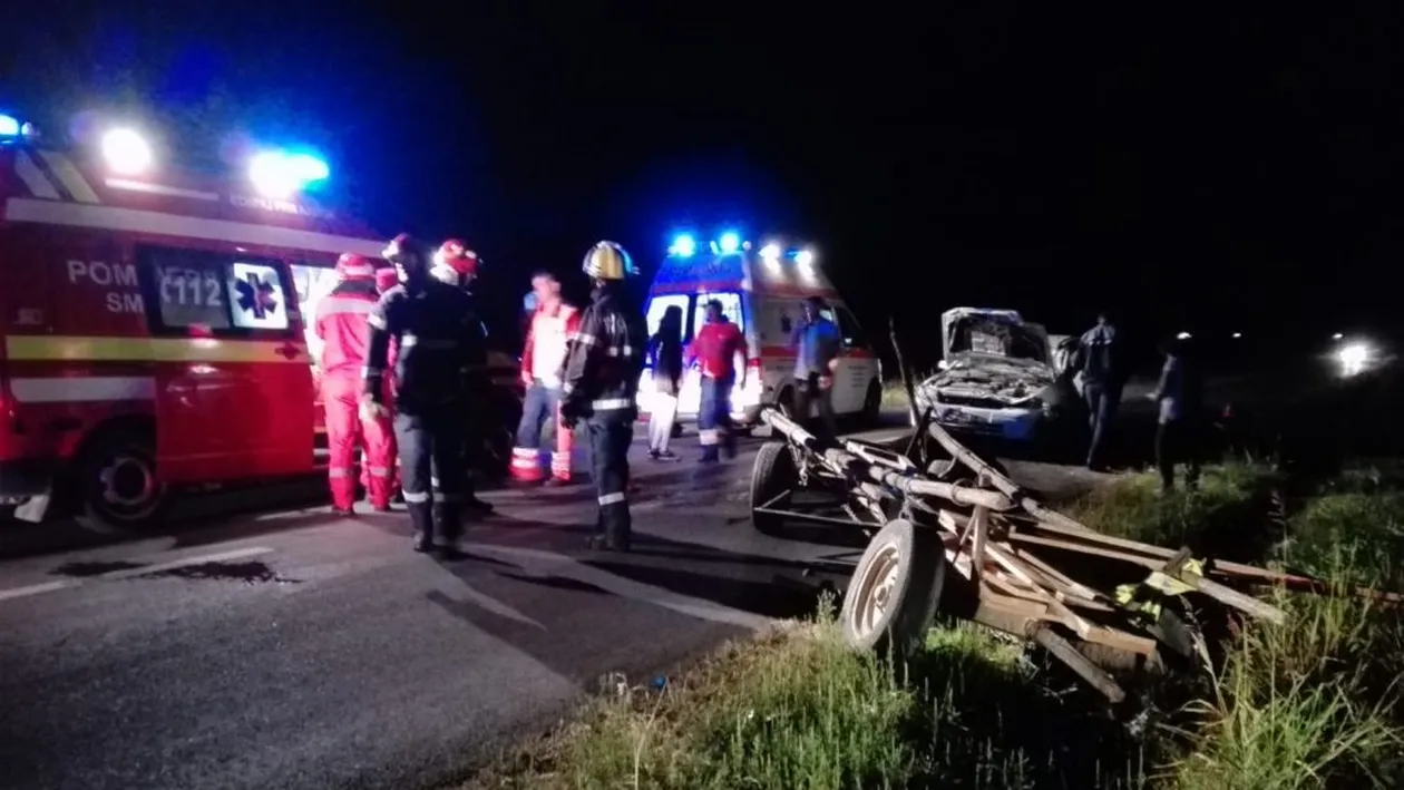 Căruțele și caii scăpați de sub control, pericole pe șoselele din Dâmbovița