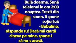 BANC | Bulă doarme. Sună telefonul la ora 2:00 noaptea