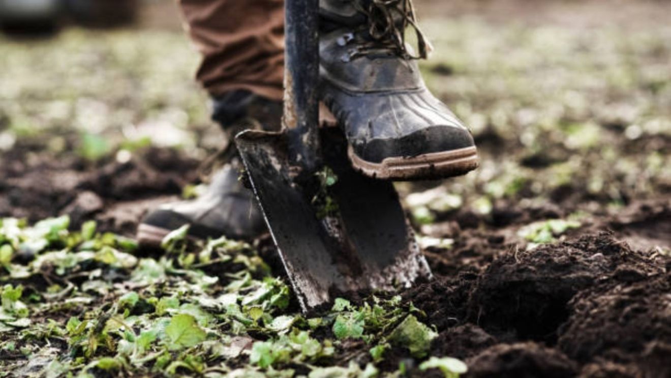 Scene tulburătoare la Iași, după ce un bărbat a venit decis să își dezgroape tatăl din cauza unui vis