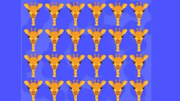 Test de logică | Care dintre cele 24 de girafe este diferită de celelalte 23?