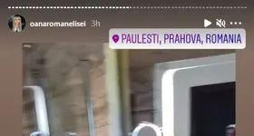 Galerie foto - poza 4