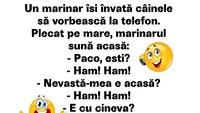 BANCUL ZILEI | Un marinar își învață câinele să vorbească la telefon