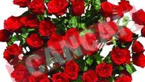 20 de milioane de lei pentru un buchet de flori