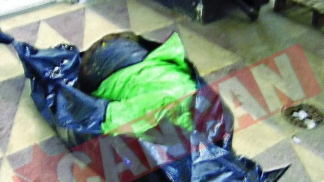 L-am omorat pentru ca mi-a stricat orga