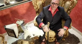 Galerie foto - poza 3