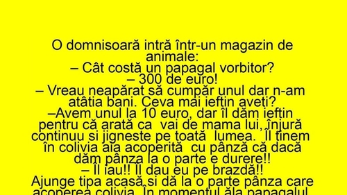 BANCUL ZILEI | "Cât costă un papagal vorbitor?" "300 de euro"