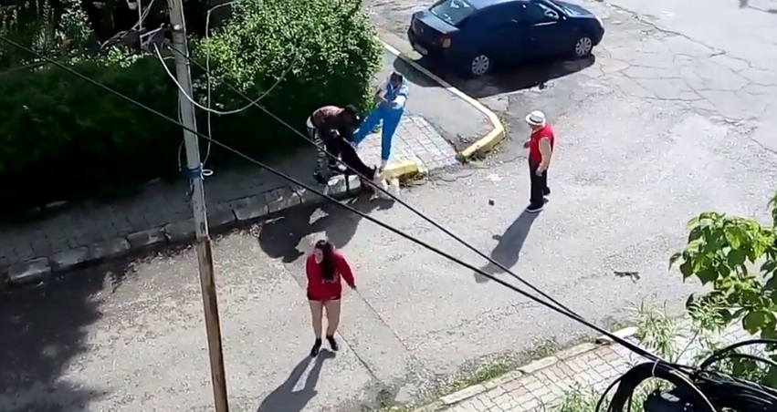 Scene terifiante în Târgovişte: un bichon a fost atacat de un pitbull, sub ochii trecătorilor