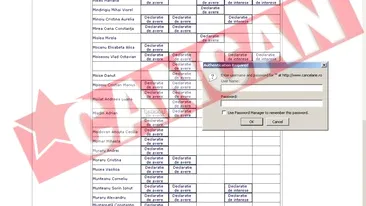 Declaratii de avere parolate, la guvern