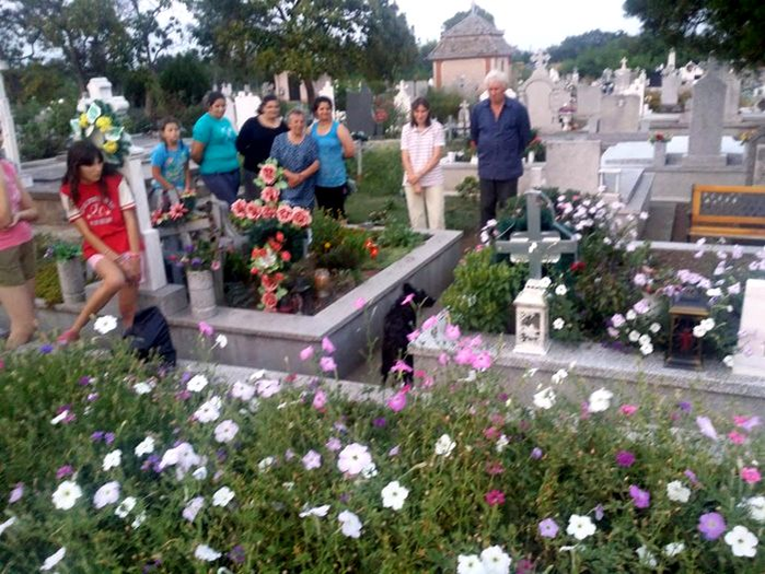 Câine îngropat de viu într-un mormânt dintr-un cimitir din Timiș. Groparii ar fi pus cu bună știință peste el placa de beton a unui cavou. Explicația e halucinantă