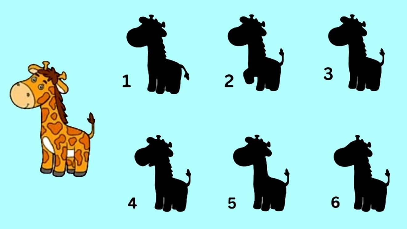 TEST IQ | Care umbră este cea corectă? Dacă răspunzi în maximum 11 secunde, ești un geniu