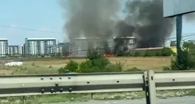 Galerie foto - poza 3