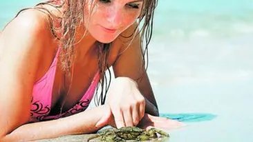 Horoscopul lunii iulie