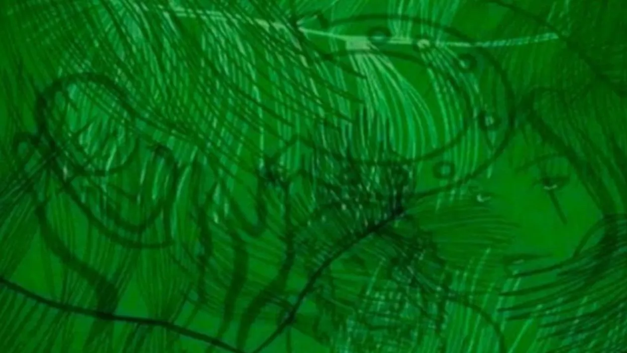 Test de personalitate | Ce vezi în această imagine spune ce îţi lipseşte pentru a fi fericit