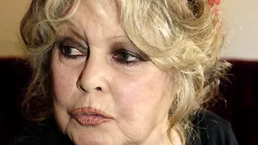 Reacţia actriţiei Brigitte Bardot după ce Parlamentul României a adoptat legea care permite eutanasierea câinilor maidanezi