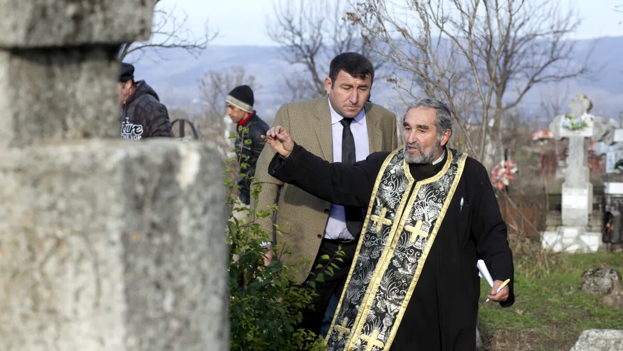 Copacii uscați din pădurea BOR – când unii slujitori uită de bunătate